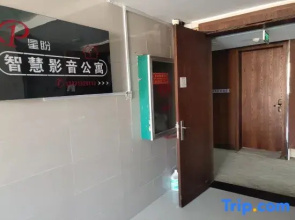Nanyang Xingpan Wisdom Film & Video Apartment