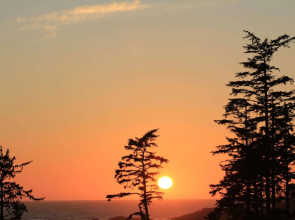 Wild Pacific Retreat