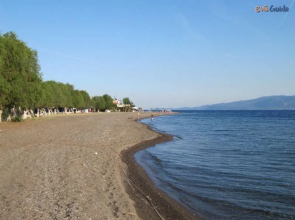 Agrikia In Evia