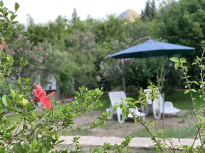 Kekik