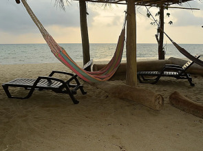 Los Colores de Swami