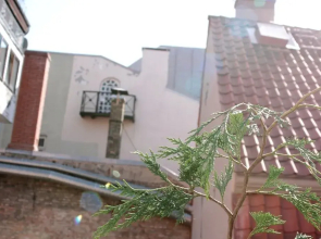 Stay in Riga Old Town