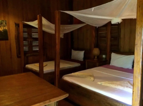 Tree Top Eco-Lodge