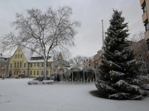 Apartment Wesseling Nauerz