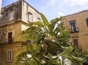 26 Urban Guest House