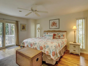 9 Laughing Gull at The Sea Pines Resort