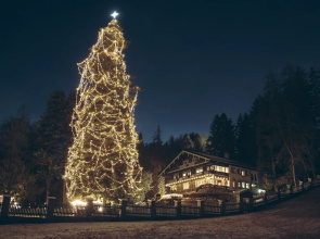 Hotel Sonnenheim