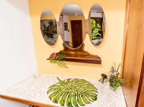 Bromelia Sabia & Cia