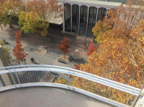 Cozy Studio in heart of the City