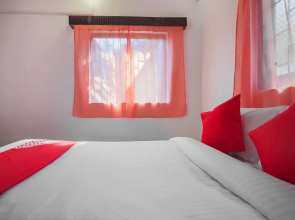 OYO 24658 Afonso Guest House