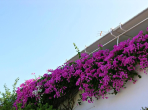 Panoramic Views Home in Hydra, Greece