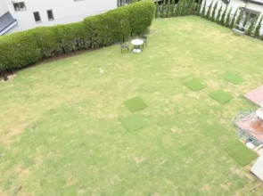 Wan's Land Kanagawa Miura Kaigan