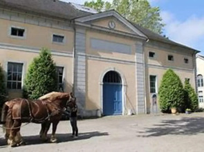 Apartment With one Bedroom in Tarbes, With Enclosed Garden and Wifi