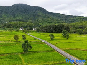 Hongcun Xinxin Zixin Inn