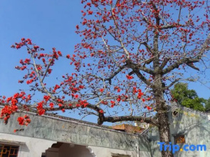 Ci'enlu Country Art Hotel