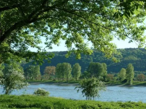 Pension Zur Rheinschanz
