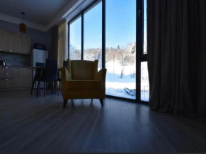 Bakuriani Didveli Residence C 16