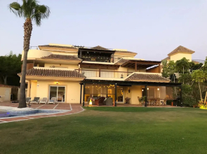 Palm Tree Golf Retreat