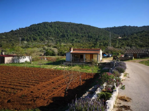 Holiday Home Cvitka