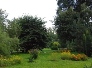 Zamek w Czernej