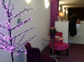 Hotel Du Grand Cerf