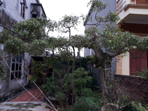 Tamcoc White Swan Hostel