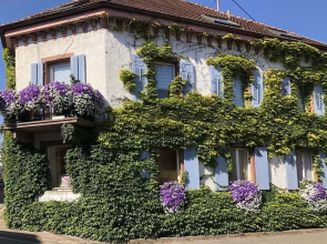 Holiday Apartment Monet in Oberrotweil