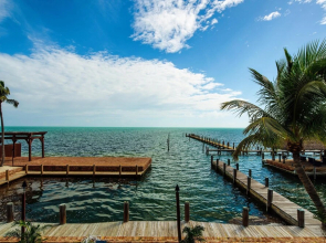 The Caribbean Resort Coconut Palm North