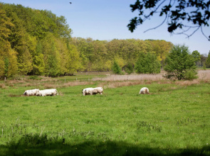 Farmhouse in Sint Joost With Pool & BBQ
