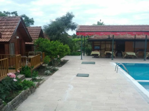 Bykara M