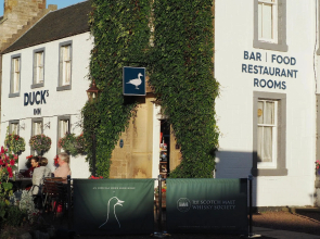 Duck's Inn
