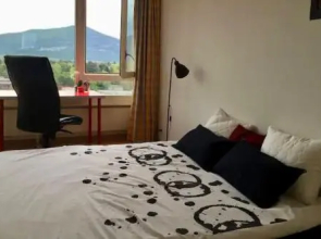 Central Furnished 2BR Rental in Geneva