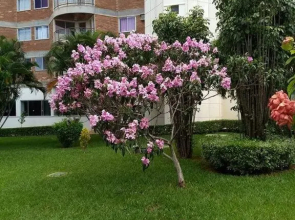 Apartamento Mundi - Império Romano - Caldas Novas