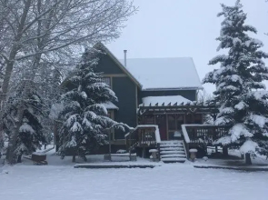 Rosebush Lodge