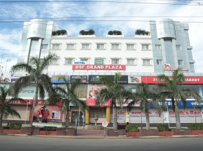 Hotel DSF GRand PLazas