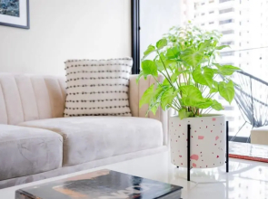 w Comfy 1BR in San Francisco