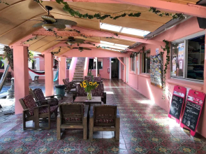 Dolphins Beach House - Hostel