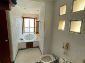 A piece of Heaven, Los Palmares 703