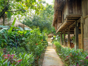 Puluong Home