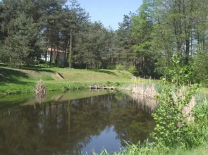 Dom nad Tanwią