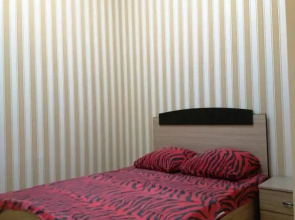 Luxury Apartment in the Centre of Yerevan