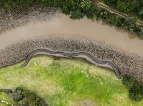 The Paper Fig House river club 30