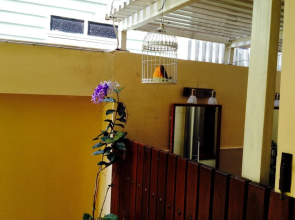 Baan Dinso Hostel