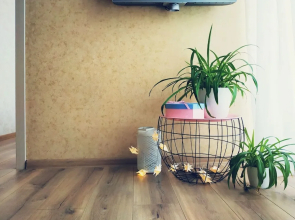 MalinaApt Pink Olive