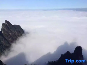 Yizhang Mangshan Qingxin Youshe Homestay