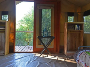 Wild Olive Tree Camp