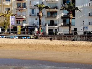 Beach and Garden