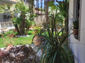 Cactus house