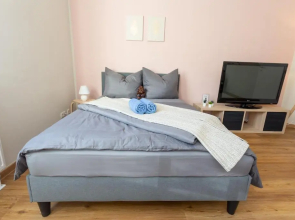 FULL HOUSE Studios - The Buffalo Apartment - NTFLX + WiFi