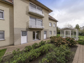 Bowie De Haan in De Haan